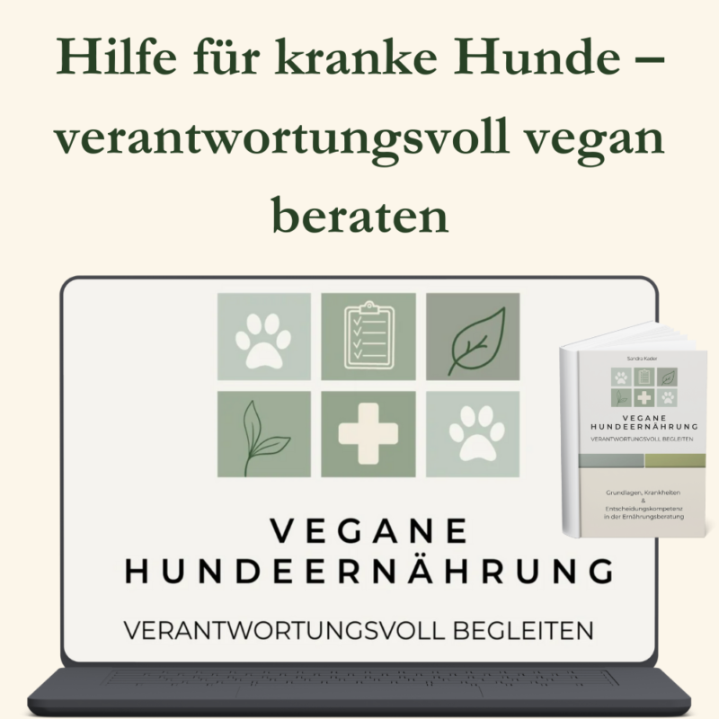 Hilfe für kranke Hunde - verantwortungsvoll vegan beraten