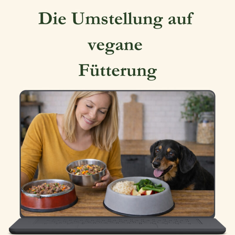 Die Umstellung auf vegane Fütterung